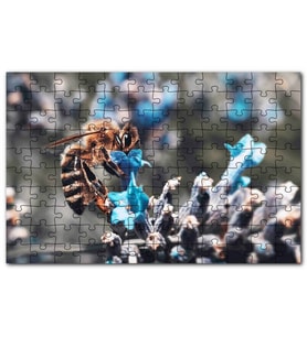 Cakapuzzle Mor Siyah Çiçekten Polen Toplayan Arı Puzzle Yapboz MDF (Ahşap) (255 Parça)
