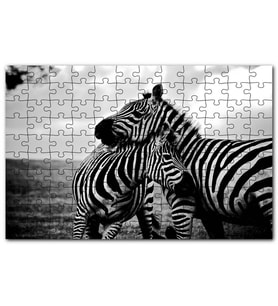 Cakapuzzle Anne Zebra ve Yavrusu Siyah Beyaz Puzzle Yapboz MDF (Ahşap) (1000 Parça)