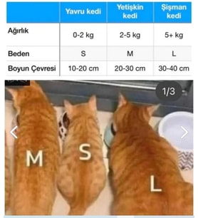 Kedi Tasması, Isimlikli Kedi Tasması, Kedi Künye Tasma, Kaybolursam Ara Tasma 1cm Tasma Sallanmayan (Sarı)