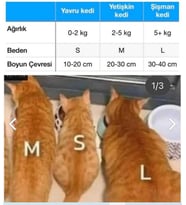 Kedi Tasması, Isimlikli Kedi Tasması, Kedi Künye Tasma, Kaybolursam Ara Tasma 1cm Tasma Sallanmayan (Sarı)