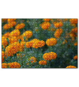Cakapuzzle Sarı Karanfiller Görseli  Puzzle Yapboz MDF (Ahşap) (1000 Parça)