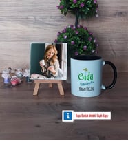 Gıda Mühendisi Fotoğraflı Dekoratif Taş, Kupa Bardak Beyaz Hediye (Model 11)