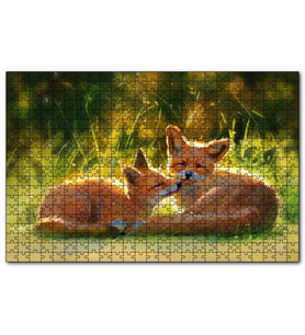 Cakapuzzle Güneşlenen İki Kızıl Tilki Görseli  Puzzle Yapboz MDF (Ahşap) (1000 Parça)