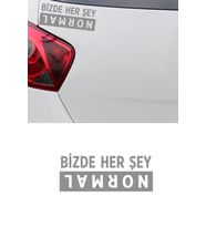 20 X 8 Cm Bizde Her Şey Normal Oto Cam Sticker Araba Sticker (Gri)