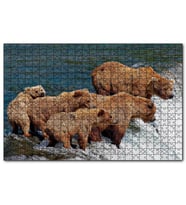 Cakapuzzle Nehir Kıyısındaki Boz Ayılar  Puzzle Yapboz MDF (Ahşap) (500 Parça)