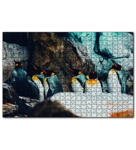 Cakapuzzle Kral Penguenleri  Puzzle Yapboz MDF (Ahşap) (1000 Parça)