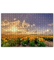 Cakapuzzle Günbatımında Bulutlar ve Sarı Laleler Puzzle Yapboz MDF (Ahşap) (500 Parça)