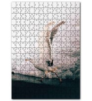 Cakapuzzle Sahilden Havalanan Martı ve Beyaz Köpükler Puzzle Yapboz MDF (Ahşap) (500 Parça)
