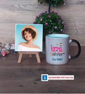 Kimya Öğretmeni Fotoğraflı Dekoratif Taş, Kupa Bardak Beyaz Hediye (Model 9)