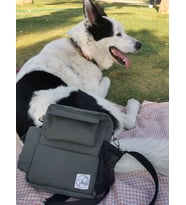 Pan Bag - Köpek Gezdirme Çantası (Haki-Yeşil)