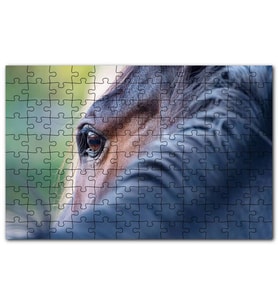Cakapuzzle Kahverengi At Gözü Arkadan Yakın Çekim Puzzle Yapboz MDF (Ahşap) (1000 Parça)