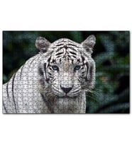 Cakapuzzle Beyaz Kaplan Hayvanat Bahçesinde  Puzzle Yapboz MDF (Ahşap) (255 Parça)