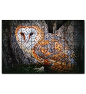 Cakapuzzle Peçeli Baykuş Türü  Puzzle Yapboz MDF (Ahşap) (1000 Parça)
