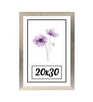20x30 Fotoğraf Çerçevesi Modern Ofis Sanat Ev Home Ofis Dekoratif Çerçeveler Ev Oturma Odası Salon Dekorasyon Resim Çerçeveleri Diploma Belge Sertifika Çerçeveleri (Gümüş)