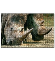 Cakapuzzle Efsanevi Gergedanlar Yakın Çekim Puzzle Yapboz MDF (Ahşap) (500 Parça)