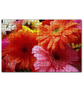 Cakapuzzle Gerbera Çiçekleri Turunculu Pembeli  Puzzle Yapboz MDF (Ahşap) (1000 Parça)