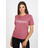 ALEXANDERGARDI BASKILI T-SHİRT (B21-33501) (Pembe)