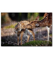 Cakapuzzle Anne Karaca ve Yavrusu  Puzzle Yapboz MDF (Ahşap) (1000 Parça)
