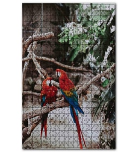 Cakapuzzle Daldaki Kırmızı Mavi Papağanlar Puzzle Yapboz MDF (Ahşap) (1000 Parça)
