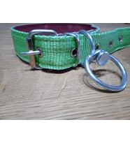 Küçük ve Orta Irk Bez Köpek Tasması (Yeşil)
