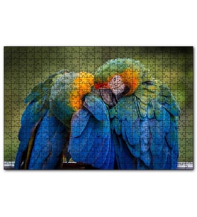 Cakapuzzle Bir Çift Mavi Macaw Papağanı  Puzzle Yapboz MDF (Ahşap) (500 Parça)