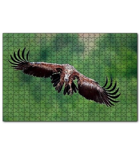 Cakapuzzle Süzülen Dev Akbaba  Puzzle Yapboz MDF (Ahşap) (1000 Parça)
