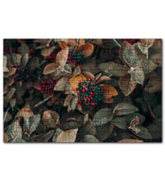 Cakapuzzle Kadife Yeşili Yapraklar Kırmızı Yeşil Meyve Puzzle Yapboz MDF (Ahşap) (500 Parça)