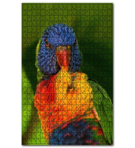 Cakapuzzle Lori Papağanı Tüylerini Temizliyor Puzzle Yapboz MDF (Ahşap) (1000 Parça)