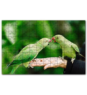 Cakapuzzle El Üzerinde Bir Çift Sevda Papağanı Puzzle Yapboz MDF (Ahşap) (500 Parça)