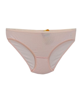 Kadın Bikini Külot Mikro Modal BGL-ST01312 (Somon)
