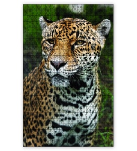 Cakapuzzle Leopar Avcı Puzzle Yapboz MDF (Ahşap) (1000 Parça)