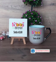 Biyoloji Öğretmeni Dekoratif Taş, Kupa Bardak Kırmızı Hediye (Model 9)