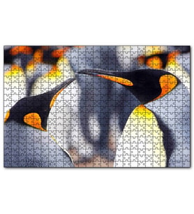 Cakapuzzle Kral Penguenler  Puzzle Yapboz MDF (Ahşap) (255 Parça)