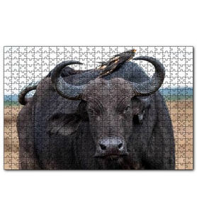 Cakapuzzle Buffalo ve Sırtındaki Kuş Arkadaşları  Puzzle Yapboz MDF (Ahşap) (255 Parça)