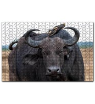 Cakapuzzle Buffalo ve Sırtındaki Kuş Arkadaşları  Puzzle Yapboz MDF (Ahşap) (255 Parça)