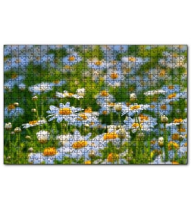 Cakapuzzle Papatya Tarlası  Puzzle Yapboz MDF (Ahşap) (500 Parça)