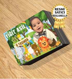 Kişiye Özel Resimli Magnet Safari2 Temalı 8x6 Cm 10 Adet (Çok Renkli)