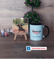 Matematik Öğretmeni Fotoğraflı Dekoratif Taş, Kupa Bardak Beyaz Hediye Öğretmenler Günü Hediyesi (Model 11)