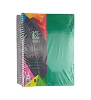 8+4 Ayraçlı Defter 12 Konulu 300 Yaprak 1 Adet 8 Kareli 4 Çizgili Spralli Plastik Kapak Seperatörlü (Yeşil)