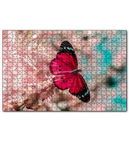 Cakapuzzle Daldaki Kırmızı Kelebek Yakın Plan  Puzzle Yapboz MDF (Ahşap) (500 Parça)