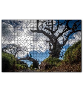 Cakapuzzle Bulutlar Kuru Ağaç ve Dalındaki Çift  Puzzle Yapboz MDF (Ahşap) (500 Parça)