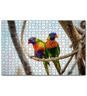 Cakapuzzle Daldaki Papağan Çift  Puzzle Yapboz MDF (Ahşap) (255 Parça)