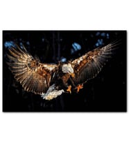 Cakapuzzle Avına Hücum Eden Kartal Görseli  Puzzle Yapboz MDF (Ahşap) (1000 Parça)