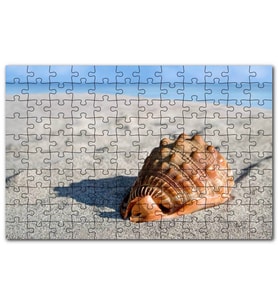 Cakapuzzle Kumsalda Dev Deniz Kabuğu Puzzle Yapboz MDF (Ahşap) (500 Parça)
