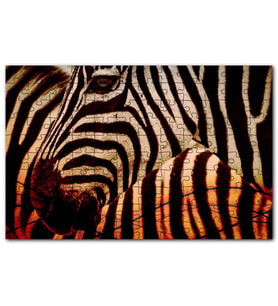 Cakapuzzle Günbatımında Zebra Desenleri Yakın Çekim Puzzle Yapboz MDF (Ahşap) (1000 Parça)
