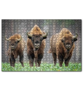 Cakapuzzle Bieszczady Bizonu Görseli  Puzzle Yapboz MDF (Ahşap) (1000 Parça)