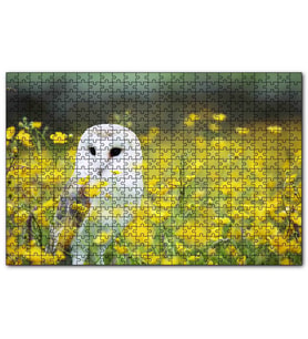 Cakapuzzle  Doğada Peçeli Baykuş  Puzzle Yapboz MDF (Ahşap) (500 Parça)