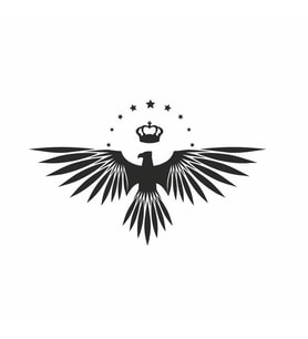 Yıldızlı Kartal  Oto Sticker 30x22 cm Siyah (Siyah-Siyah)