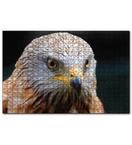 Cakapuzzle Şahin Yakın Çekim  Puzzle Yapboz MDF (Ahşap) (255 Parça)