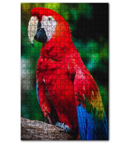 Cakapuzzle Kırmızı Mavi Macaw Papağan Puzzle Yapboz MDF (Ahşap) (1000 Parça)